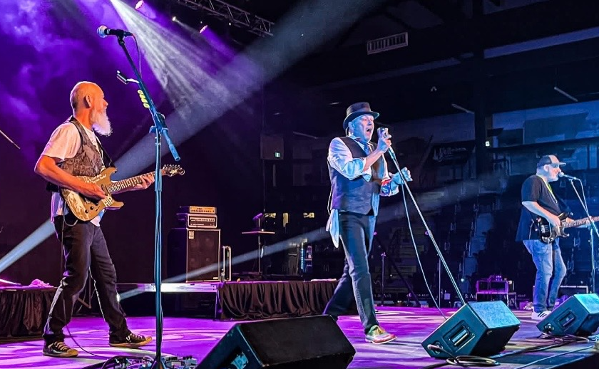 The Hip Replacements